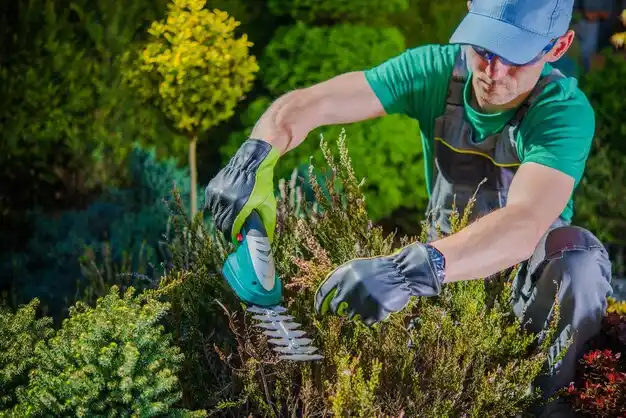landscaping services Fairgrove